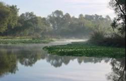 Prado Wetlands